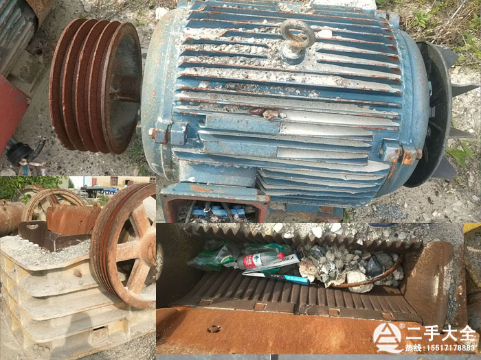 �������̎��