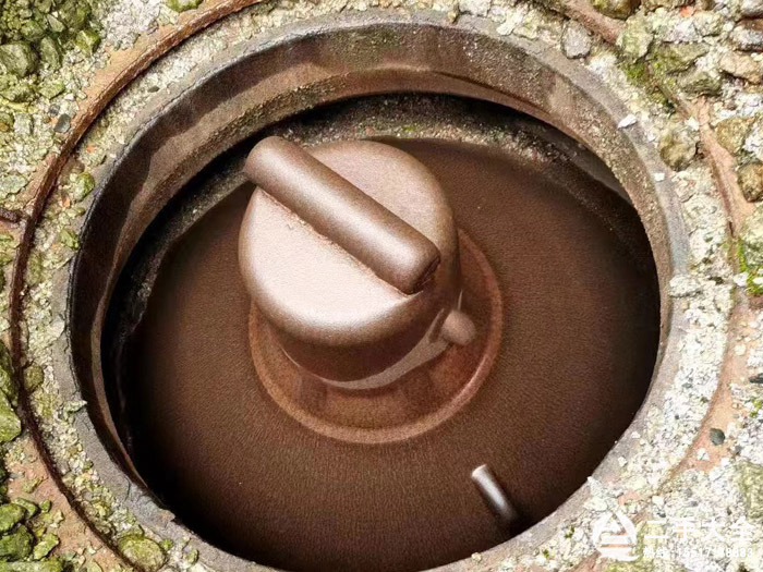 短頭圓錐內(nèi)部 短頭圓錐內(nèi)部