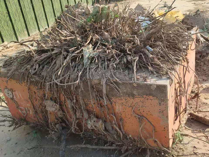 ɰʯ�ψ�(ch��ng)���֑Ғ���F�D(zhu��n)׌